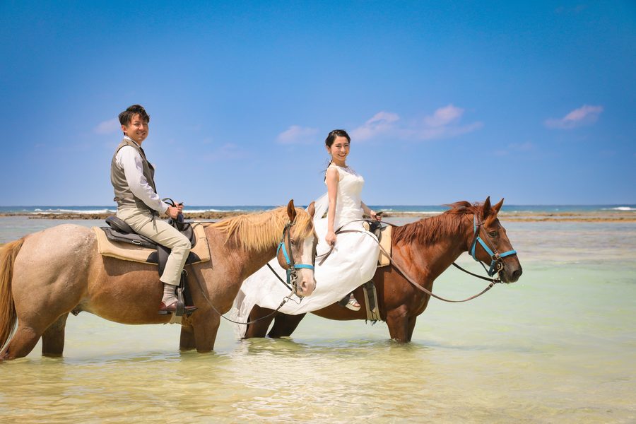 海での乗馬